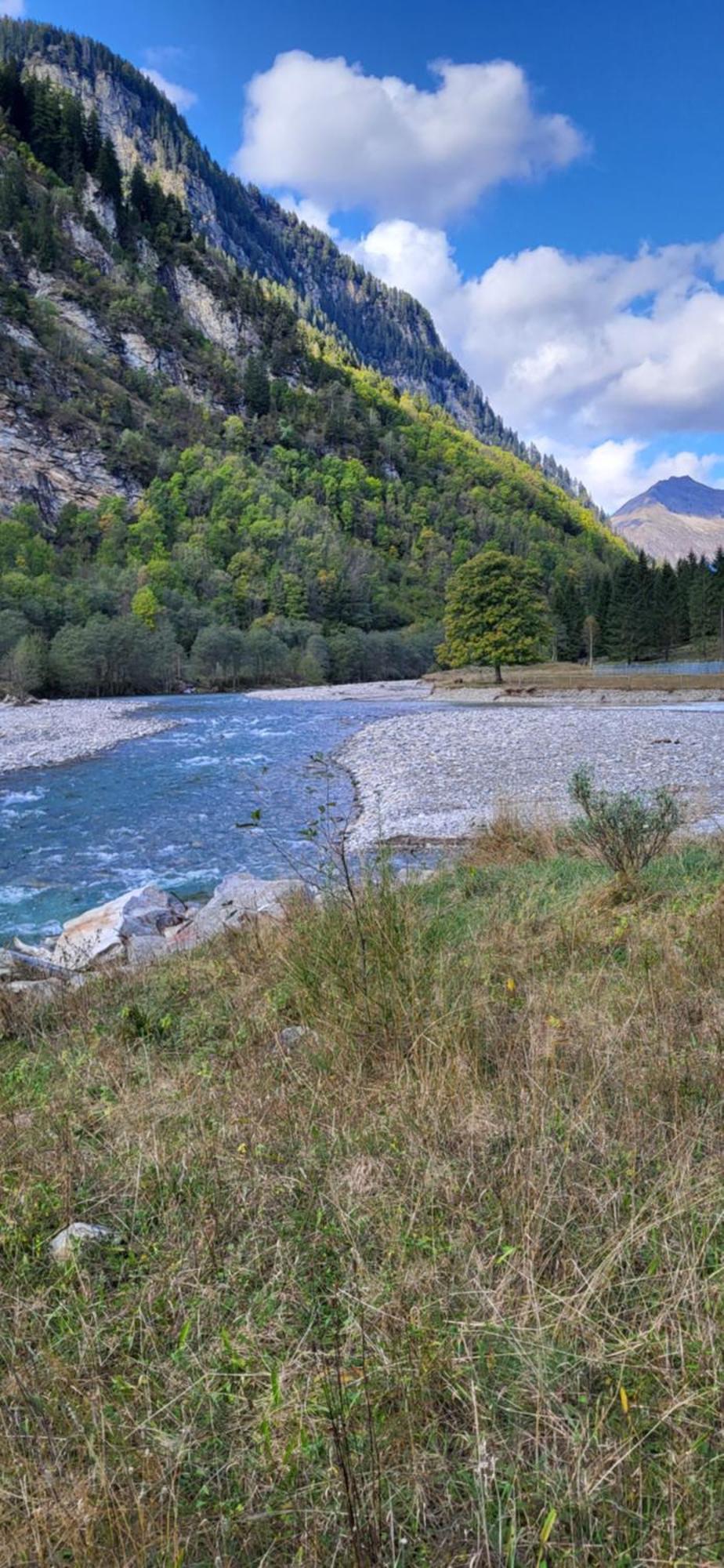 Casa Oliver, Tra La Calanca E I Castelli Di Bellinzona Grono Bagian luar foto